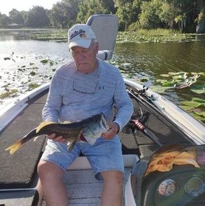 Meet your Posher, Lee anne